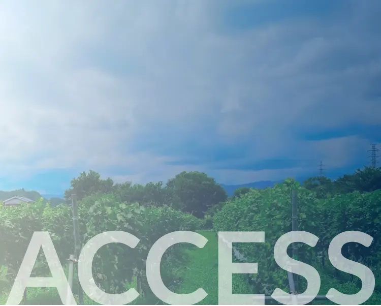 access